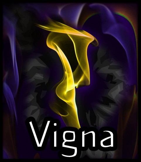 Vigna